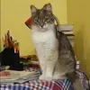 Отзыв от Инна Суркова